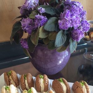 Meet your Posher, Marjan